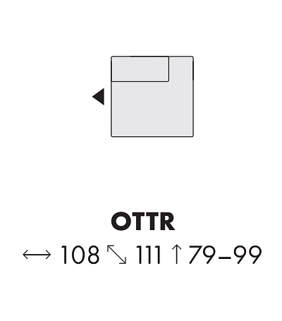 Modul BUFFALO OTTR