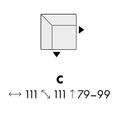 Modul BUFFALO C