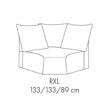 Modul ARES RXL