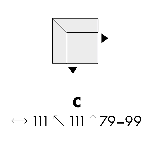 Modul BUFFALO C